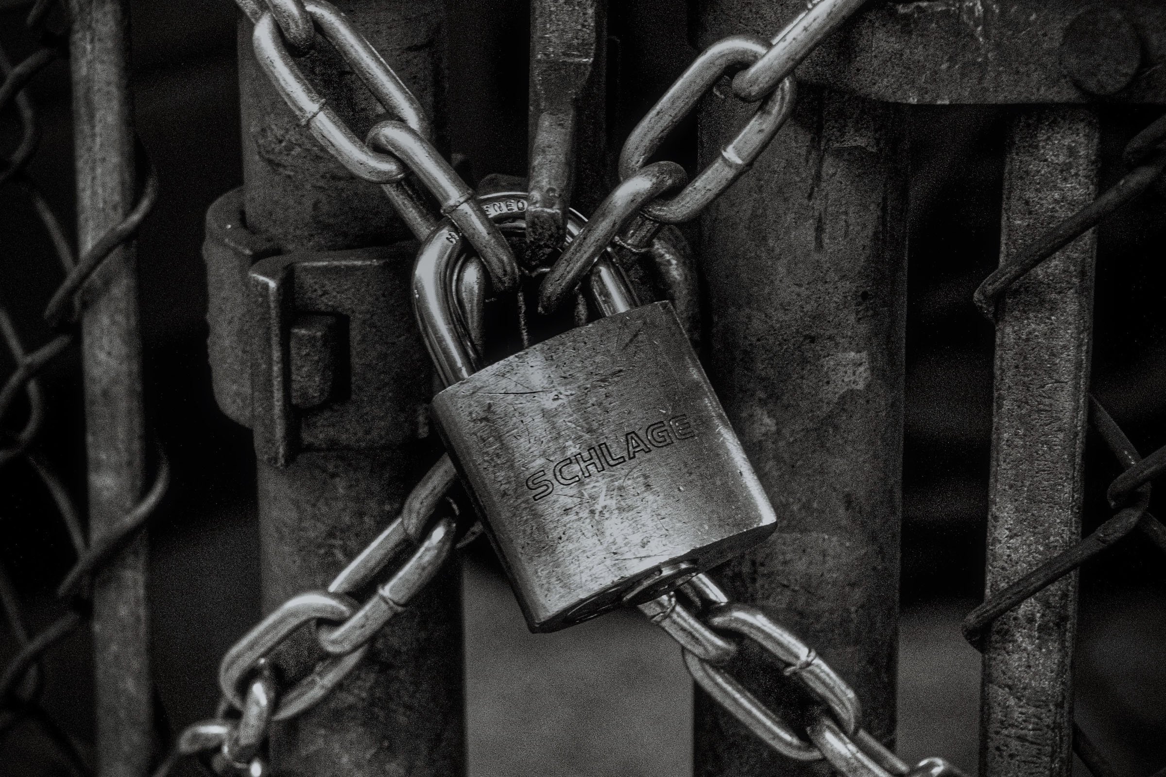 Postgraduate essay sample picture