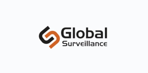 Global Surveillance, LLC