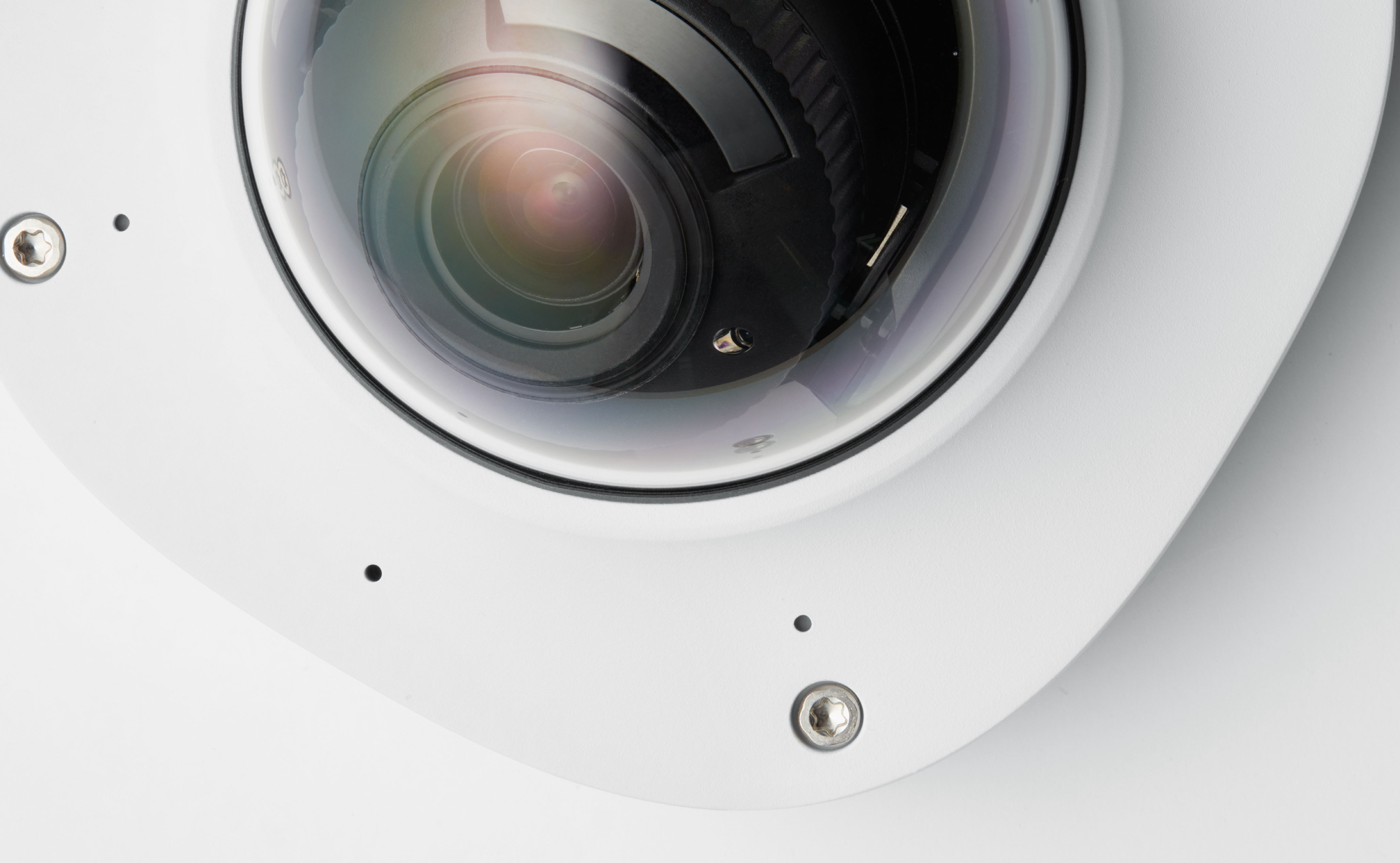 Image - Close up white 1